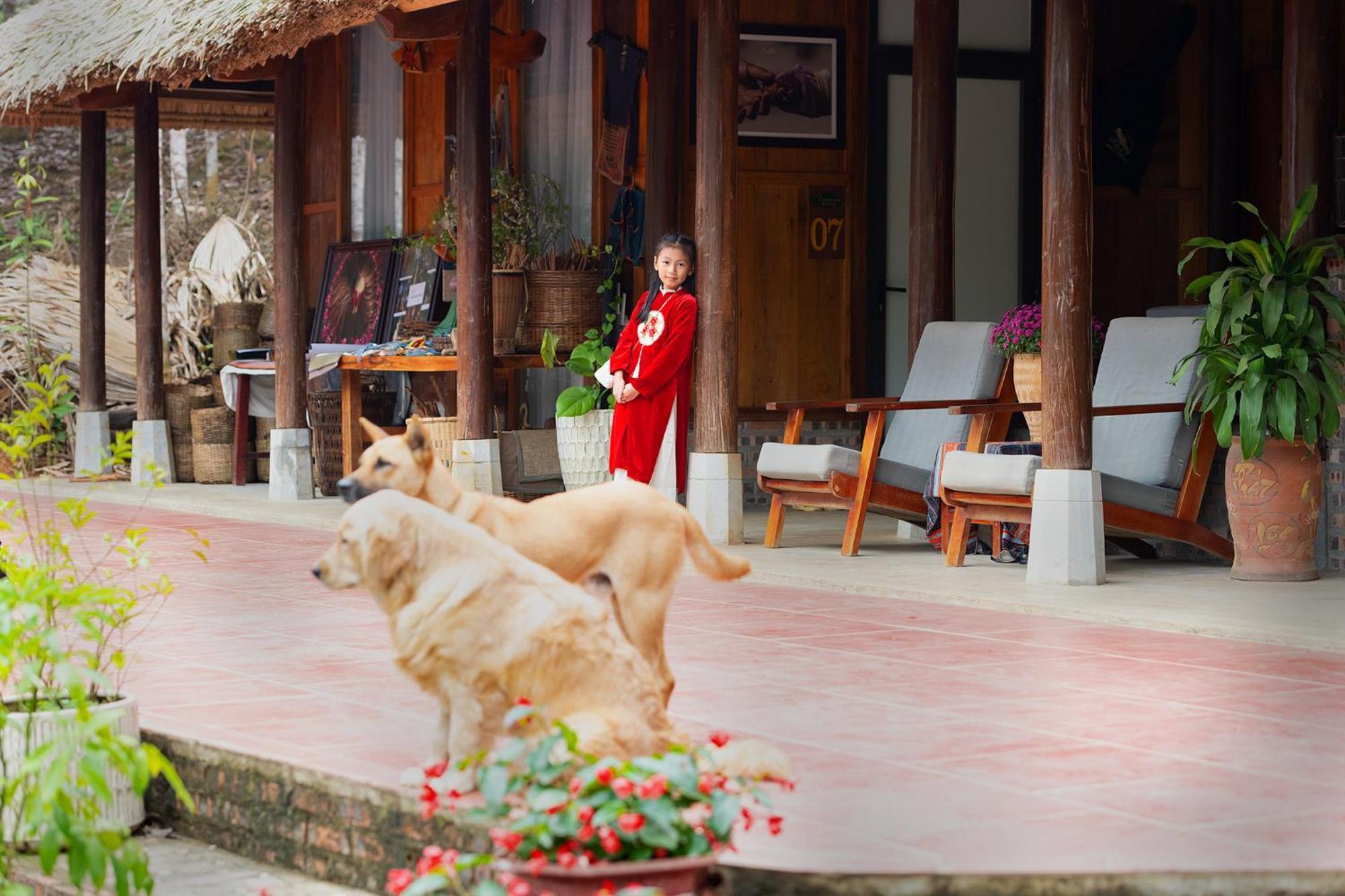 Cinnamon Eco Lodge Nam Hoac 外观 照片